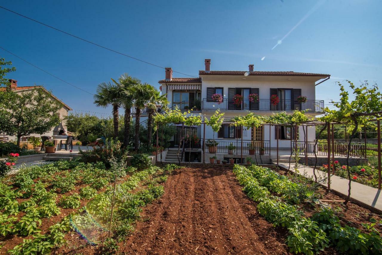 Apartman Ana Bajcici Exterior foto